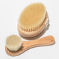 Dry Brush Face & Body Bundle